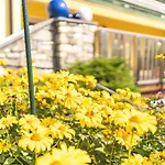 Steffl Garni Inkl Chiemgau Karte Hotel Ruhpolding