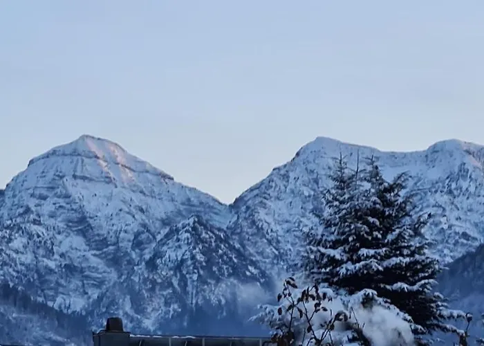 Steffl Garni Inkl Chiemgau Karte 3* روهبولدنغ